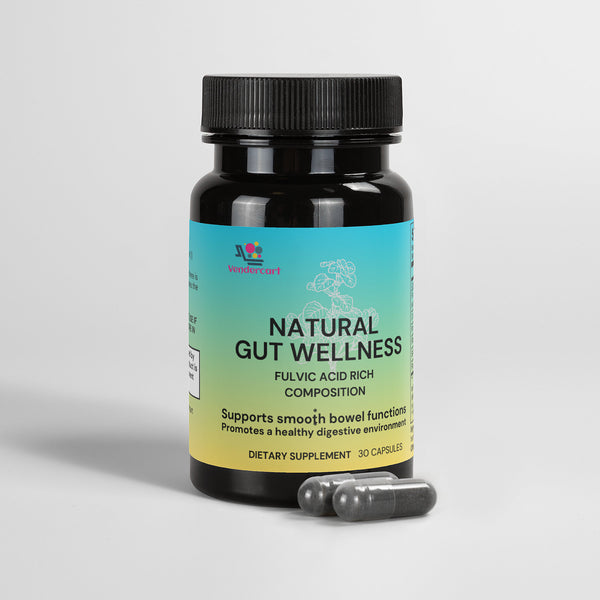 Natural Gut Wellness Capsules – Healthy Balance