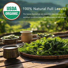 Detox Herbal Tea – Lung Cleanse & Immunity Boost
