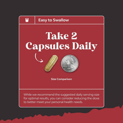 Men’s Vitality Supplement – Energy & Stamina Support