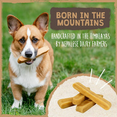 Yak Cheese Dog Chews – Large Aggressive Chewers