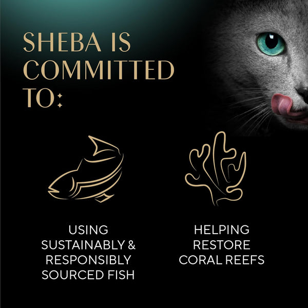 Sheba Portions Wet Cat Food Chicken, Tuna & Turkey 36 Pack