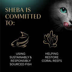 Sheba Perfect Portions Wet Cat Food Salmon, Trout & Tuna