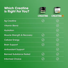 Optimum Nutrition Creatine 600g – Strength & Performance