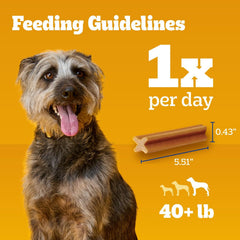 Pedigree Dentastix Large Dog Treats 51 Pack