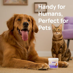 Dog & Cat Teeth Wipes for Fresh Breath