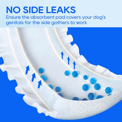 All-Absorb Male Dog Wraps – Small, 50 Count