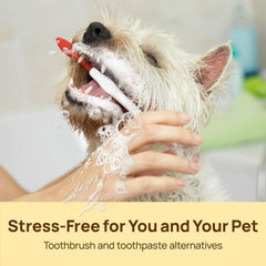 Dog & Cat Teeth Wipes for Fresh Breath