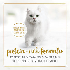 Purina Fancy Feast Gravy Lovers Wet Cat Food Pack of 24