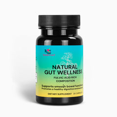 Natural Gut Wellness Capsules – Healthy Balance