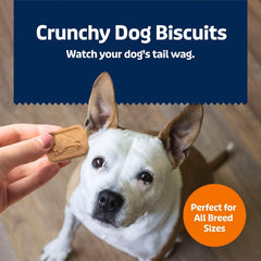 Blue Buffalo Pumpkin Dog Biscuits 16 oz