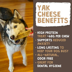 Yak Cheese Dog Chews – Large Aggressive Chewers