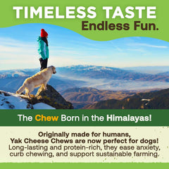 All-Natural Yak Cheese Dog Chews – High Protein