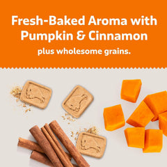 Blue Buffalo Pumpkin Dog Biscuits 16 oz