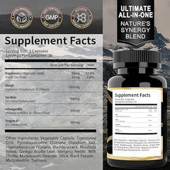 Shilajit Complex Capsules – Energy & Vitality Support