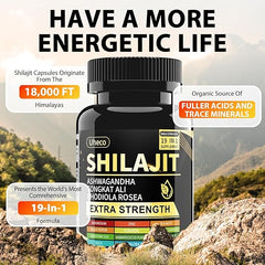 Shilajit Complex Capsules – Energy & Vitality Support