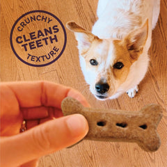Peanut Butter Training Dog Treats – Large Dogs