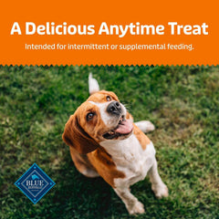 Blue Buffalo Pumpkin Dog Biscuits 16 oz