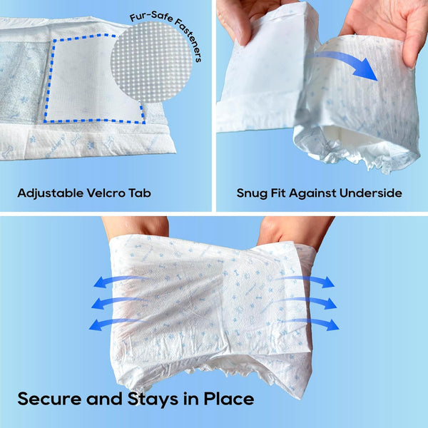 All-Absorb Male Dog Wraps – Small, 50 Count