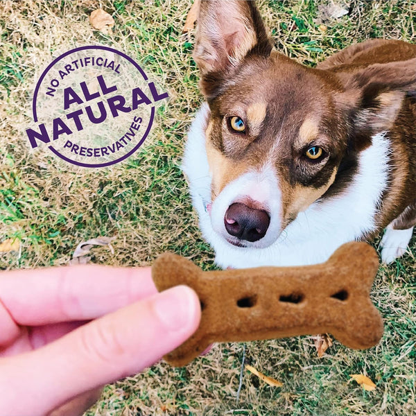 Peanut Butter Training Dog Treats – Large Dogs