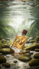Giorgio Armani Acqua Di Giò Absolu Eau de Parfum 4.2 oz for