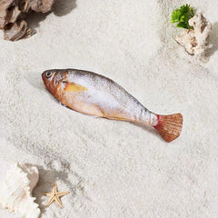 A Fun, Lifelike, Movable, Fish-Shaped Companion. Cool Cat Stuff ,Cat Stuff Cat Toys Cat Toys